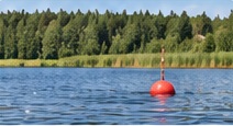 Järven rantaviivaa